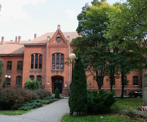 Te szkoły są najbardziej przyjazne LGBT. Na pierwszym miejscu Olsztyn!