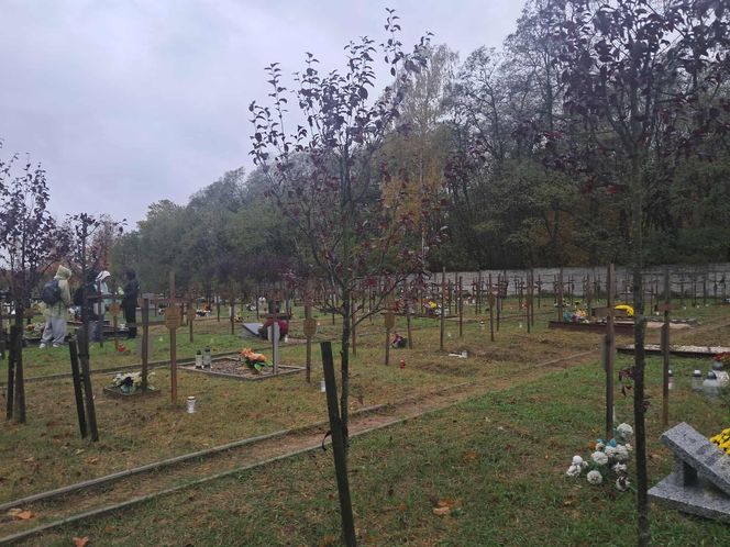 Rekordowa akcja "Światełko Pamięci". Uczniowie z Łodzi porządkowali opuszczone groby