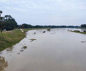 Fala powodziowa we Wrocławiu. Pod wodą są już beach bary i drogi 