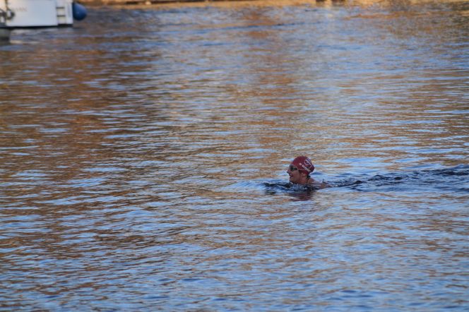 Wskoczyli do lodowatej Brdy! Za nami zawody FOCUS Ice Swimming Bydgoszcz Festival 2024