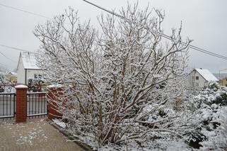 Zima Starachowice 29.11.2020