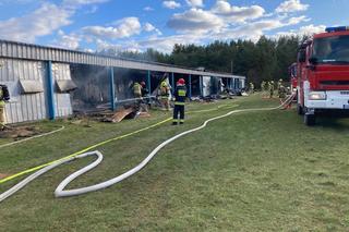 Pożar kurnika w powiecie kartuskim. Straty są kolosalne