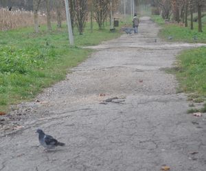 Dolina Silnicy i Zalew Kielecki jesienią