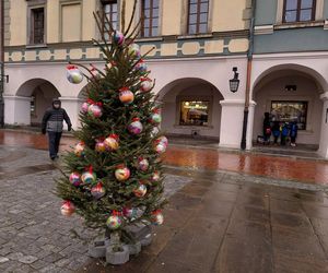  Zamojskie przedszkola i szkoły dekorowały choinki