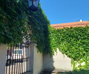 Urokliwe podwórka Starego Miasta w Zamościu