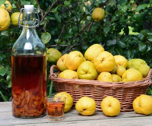 Nalewka z pigwy - właściwości lecznicze pigwówki. Jak zrobić nalewkę z pigwy [PRZEPIS]