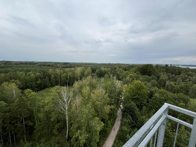   To najwyższa wieża widokowa w warmińsko-mazurskim. Trzeba pokonać niemal 200 schodów. Zobacz zdjęcia