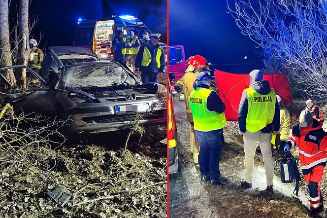 Obice. Śmiertelny wypadek kobiety i mężczyzny. Znaleźli ich policjanci [ZDJĘCIA].