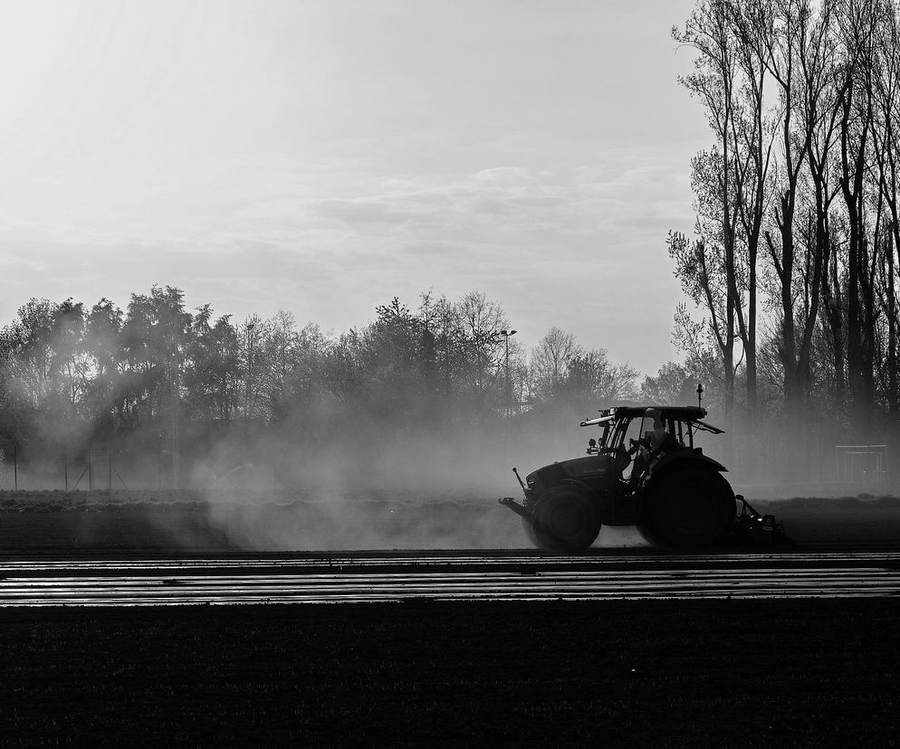 Dramat pod Łomżą. Nie żyją kobieta w ciąży i jej nienarodzone dziecko