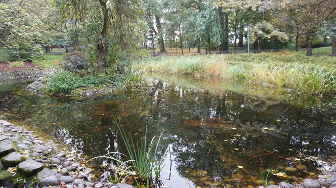 Ogród Saski w Lublinie w jesiennej odsłonie