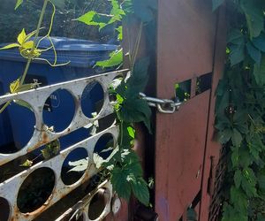 Warszawa, ul.Byczyńska 22