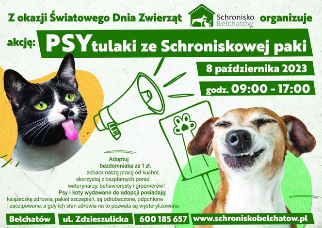 Adoptuj PSYtulaki ze schroniskowej paki. Bełchatowskie przytulisko dla czworonogów szykuje wiele atrakcji