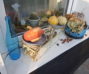 Sielski klimat w Wieliczce