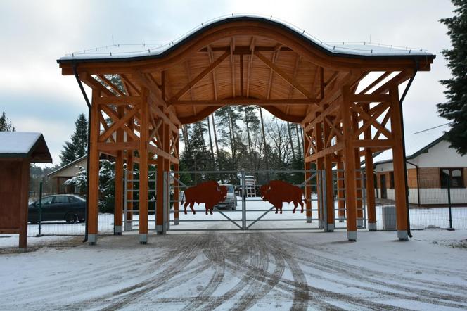 Pokazowa Zagroda Żubrów w Krajewie prawie gotowa [ZDJĘCIA]