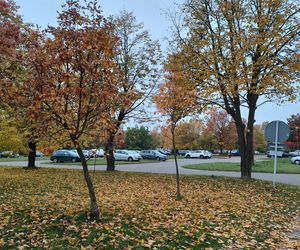 Rusza przebudowa parkingu przy szpitalu w Łomży. Parking zostanie zautomatyzowany!