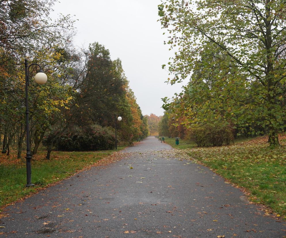 Cytadela Jesienią