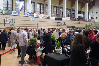 Festiwal Roślin w Nowym Sączu