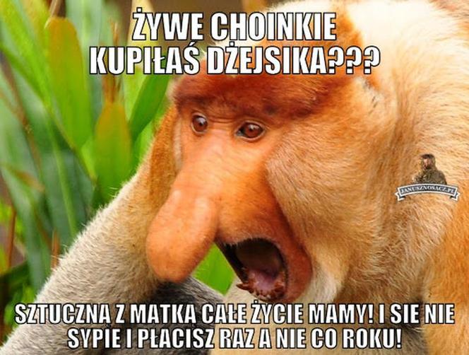 Choinka memy