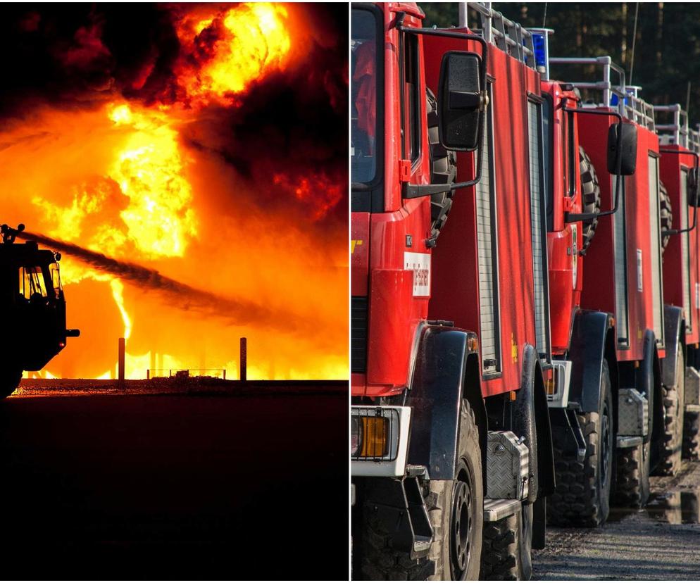Gigantyczny pożar w Gnieźnie! Płonie stolarnia, ogromne słupy ognia i dym nad miastem