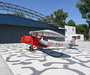 Samolot RWD-8
