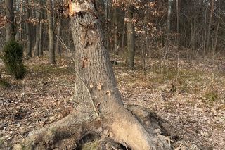  Lubelskie. Żołnierz zginął w tragicznym wypadku. Mariusz miał 32 lata. Pozostaniesz w naszej pamięci