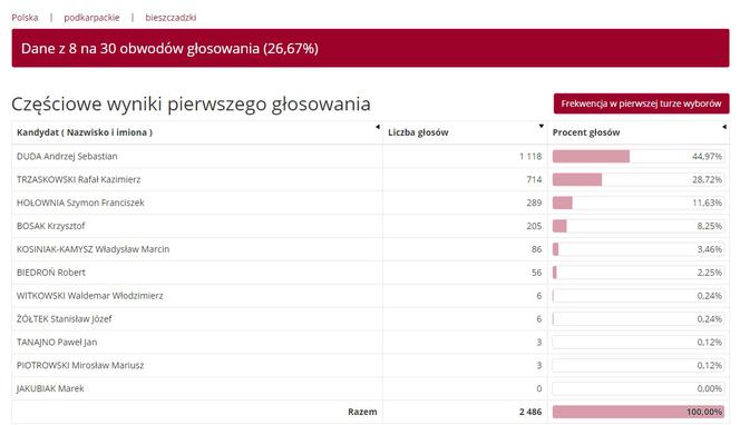 Wybory prezydenckie 2020: Jak głosowali mieszkańcy Podkarpacia