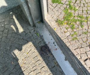  Śmiertelne pobicie Marcina w centrum Krakowa. Jego ukochana zabrała głos! Przejmujący apel. Proszę wszystkich