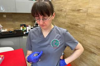  Weterynarze karmią malutką Popi co 2 godziny 