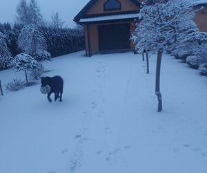 Atak zimy w Polsce. Zasypane miasta na Waszych zdjęciach