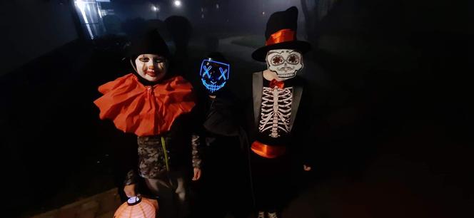 Halloween 2023: Cukierek albo psikus? A do Was już zapukali?