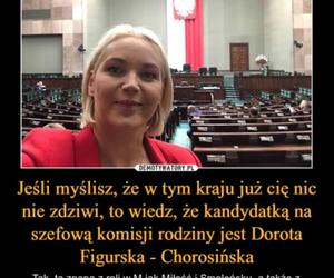 Dominika Chorosińska MEMY. Internauci bezlitośni dla nowej minister kultury