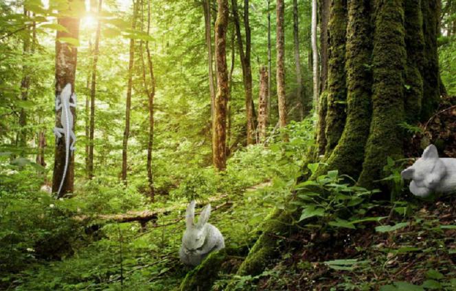 Tak będzie wyglądał Ogród Botaniczny Marszewo po zmianach