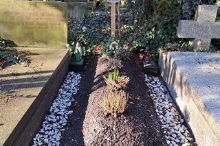 Zaniedbane groby znanych Polaków na Starych Powązkach 