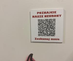 Magiczny świat neuronów