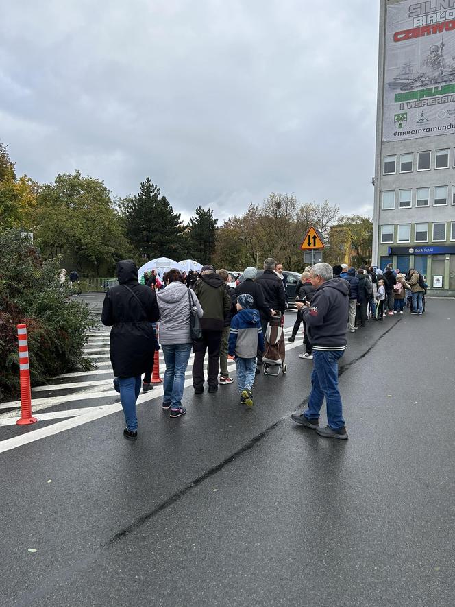 Urząd Miasta Zielona Góra rozdał dynie! Mimo złej pogody były tłumy