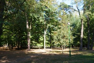 Park Konstytucji 3 Maja