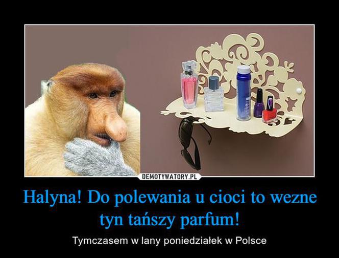 Śmigus-dyngus. Najlepsze MEMY na Lany Poniedziałek