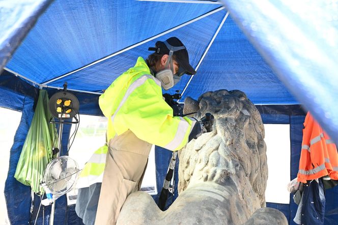 Renowacja koszalińskich lwów