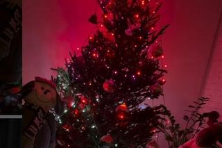 Choinka Daniela Martyniuka