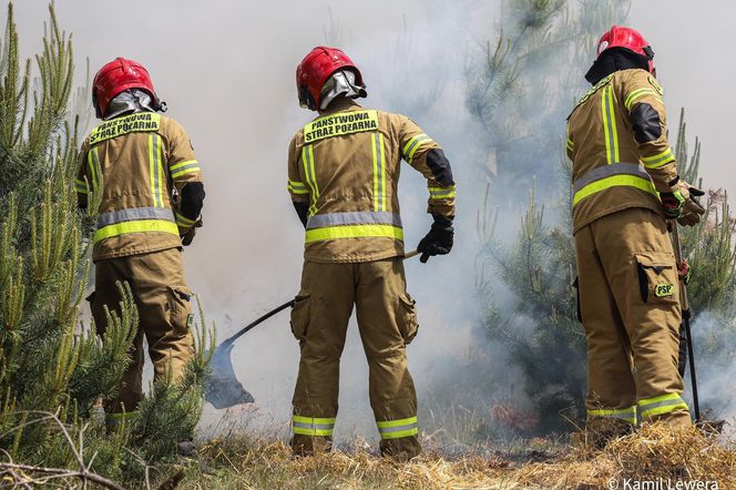 Ćwiczenia Fire Forest 2025 na poligonie w okolicach Międzyrzecza