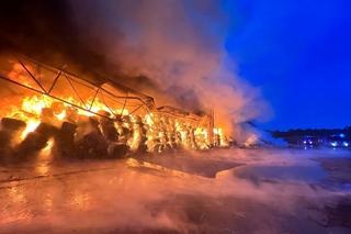 Pożar składowiska odpadów w Promniku (gm. Strawczyn)