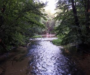 To najpiękniejsza wieś w woj. lubelskim