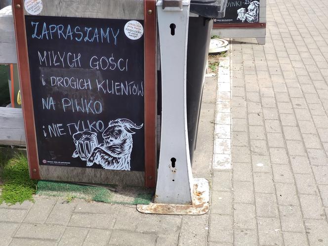 Ceny nad morzem. Ile kosztują gofry w Gdyni?