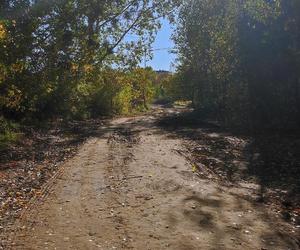 Park Nagórki - Jaroty. Prace przy budowie nowych dojść do zbiornika idą pełną parą [ZDJĘCIA]