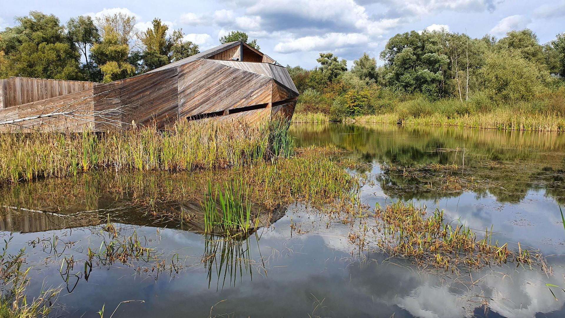 Enklawa Przyrodnicza Bobrowiska w Starym Sączu, proj. 55 Architekci