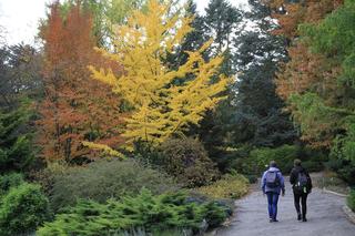 Jesienny Ogród Botaniczny w Lublinie. Zobacz, jak tam jest pięknie!