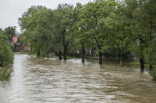 Powódź w Czechach zagraża mieszkańcom Marciszowa. 