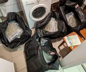 Policja zlikwidowała magazyn narkotyków w Wawrze. Zaopatrywali się tam dilerzy z Brzeskiej