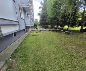  Przyjaciele żegnają Julię