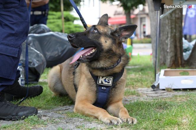 Wojewódzkie Obchody Święta Policji w Żorach 2024